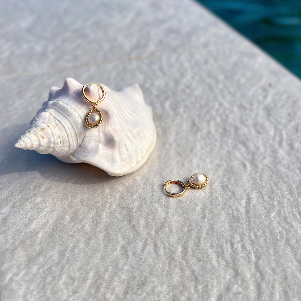 Moderne Beach Hoops aus Echt Silber vergoldeter Creole mit daran hängender Süßwasserperle umrandet in Gold und dekoriert auf einer karibischen Muschel.